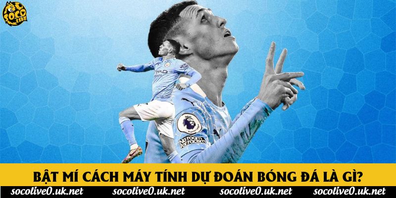 Bật mí cách máy tính dự đoán bóng đá là gì?