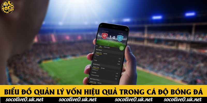 Biểu đồ quản lý vốn hiệu quả trong cá độ bóng đá
