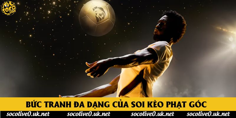 Bức tranh đa dạng của soi kèo phạt góc