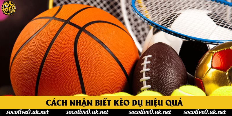 Cách nhận biết kèo dụ hiệu quả