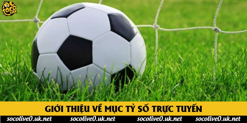 Giới thiệu về mục tỷ số trực tuyến