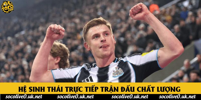 Hệ sinh thái trực tiếp trận đấu chất lượng 