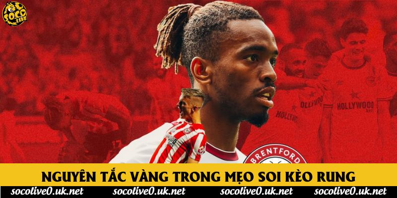 Nguyên tắc vàng trong mẹo soi kèo rung