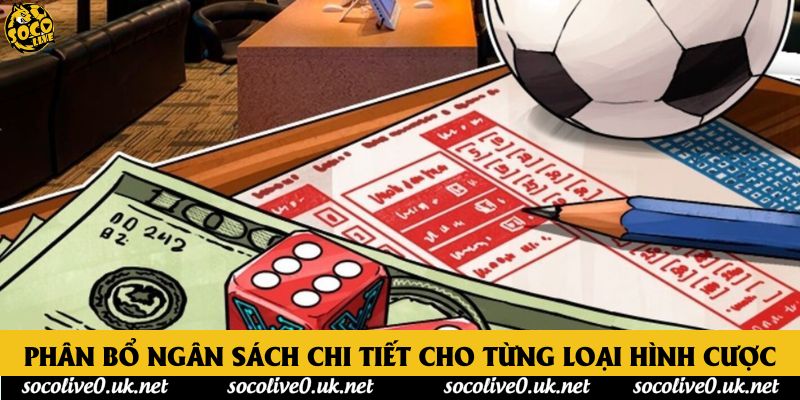 Phân bổ ngân sách chi tiết cho từng loại hình cược Phân bổ ngân sách chi tiết cho từng loại hình cược