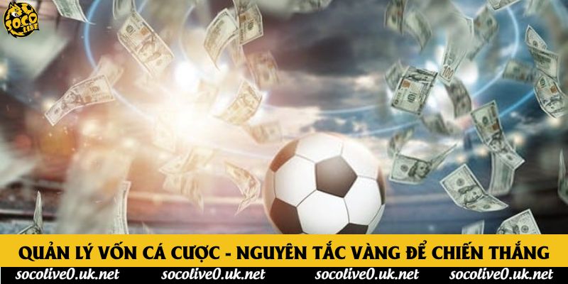 Quản Lý Vốn Cá Cược - Nguyên Tắc Vàng Để Chiến Thắng