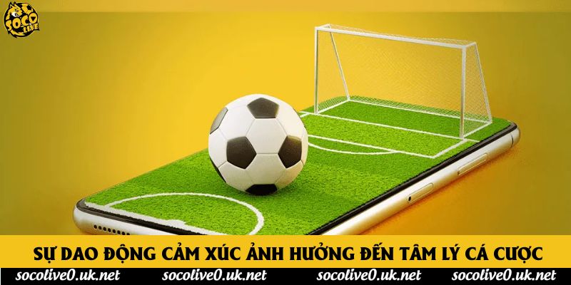 Sự dao động cảm xúc ảnh hưởng đến tâm lý cá cược Sự dao động cảm xúc ảnh hưởng đến tâm lý cá cược