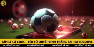 Tâm Lý Cá Cược - Yếu Tố Quyết Định Thắng Bại Tại Socolive