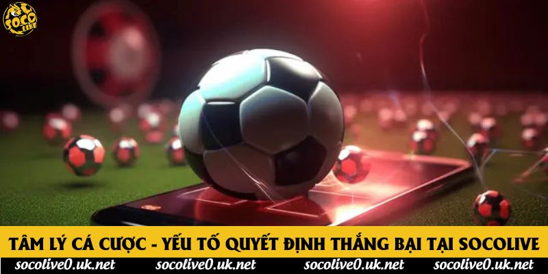 Tâm Lý Cá Cược - Yếu Tố Quyết Định Thắng Bại Tại Socolive