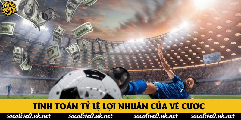 Tính toán tỷ lệ lợi nhuận của vé cược