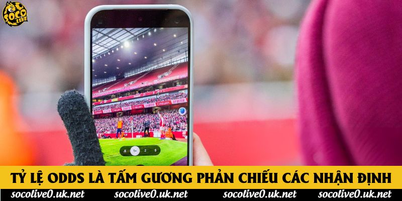 Tỷ lệ Odds là tấm gương phản chiếu các nhận định