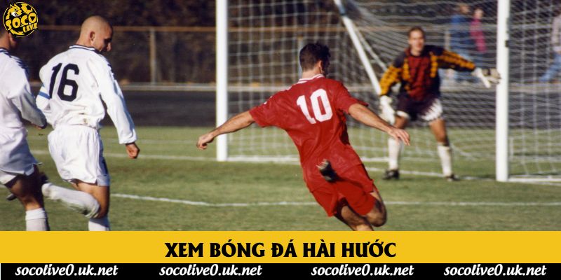 Xem Bóng Đá Hài Hước Tại Socolive - Xu Hướng Giải Trí Mới